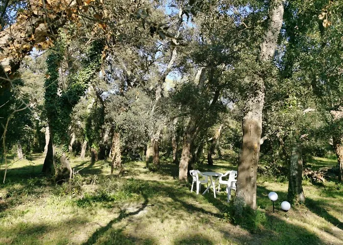 Nature Sur Argelès-sur-Mer
