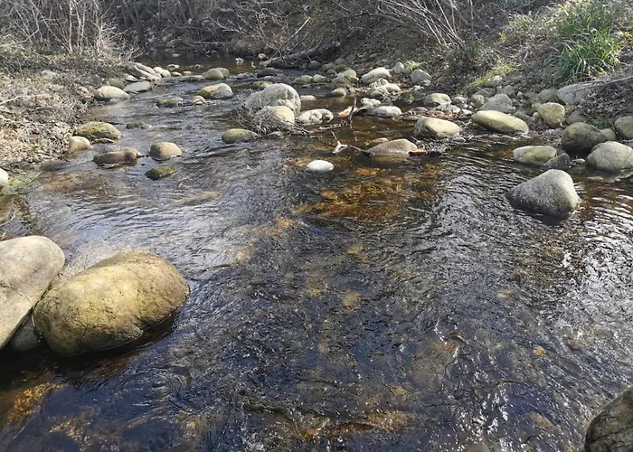 Nature Sur Argelès-sur-Mer